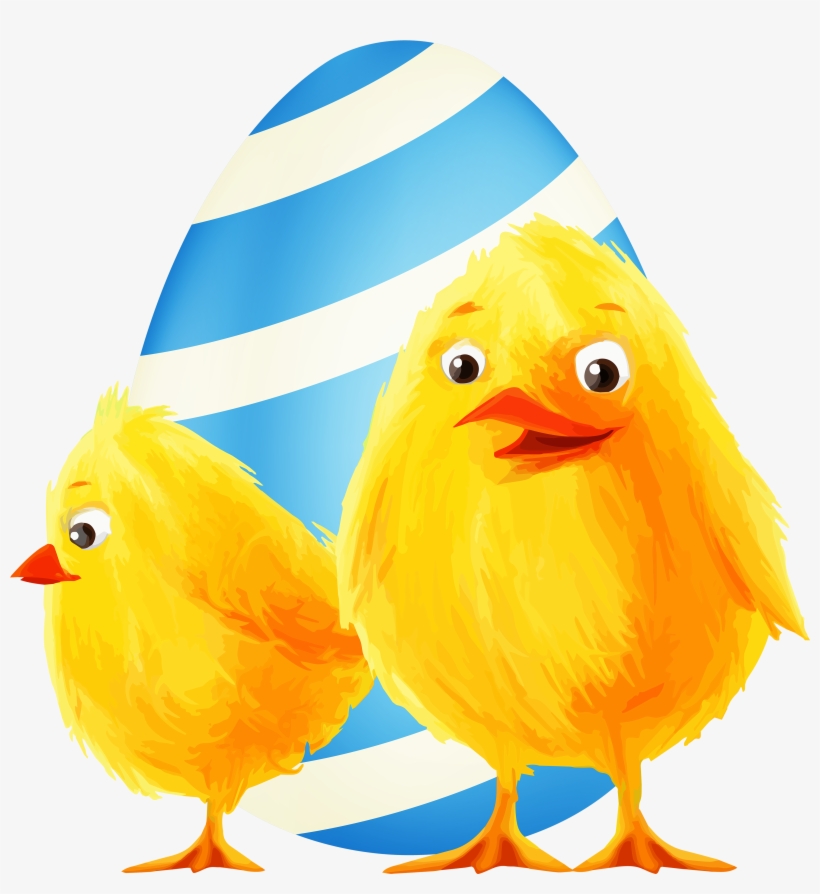 Easter Chickens Png Clip Art Image - Chicken, transparent png download
