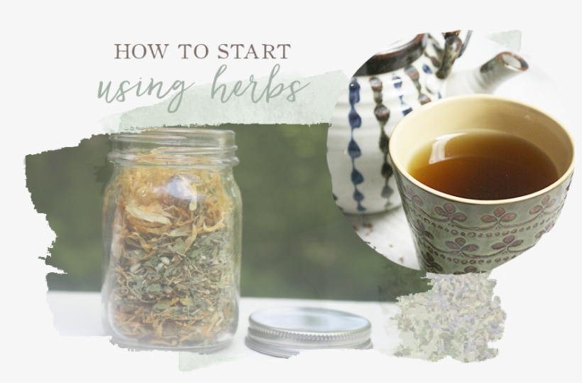 Herb, transparent png download