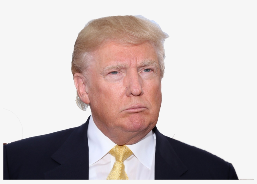 Personconfused - Donald Trump Memes Cat, transparent png download