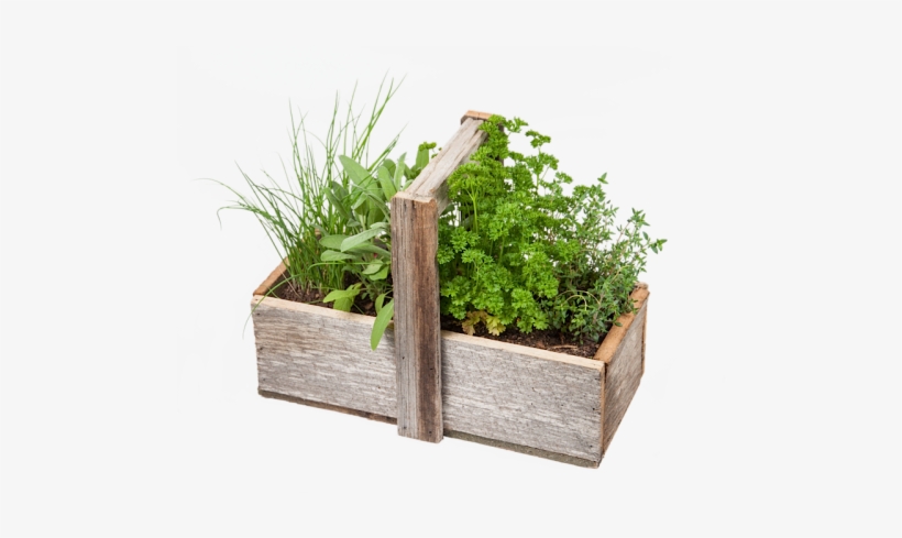 Flowerpot, transparent png download