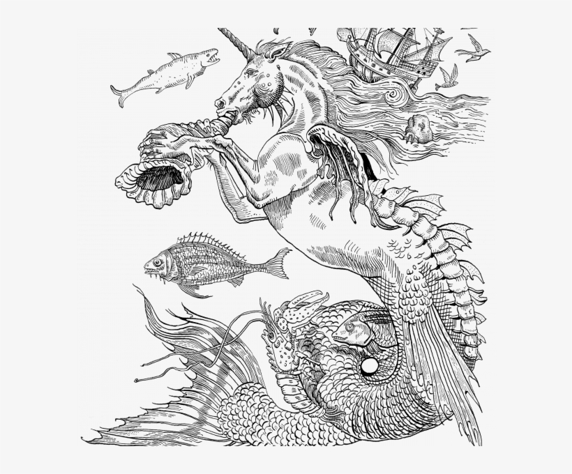 Sea Unicorn - Comch Shell Tattoo, transparent png download