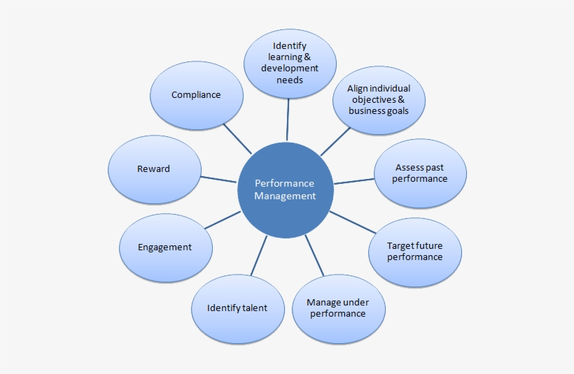Anointing The Bruise Of Performance Appraisal - Performance Appraisal In Hr, transparent png download