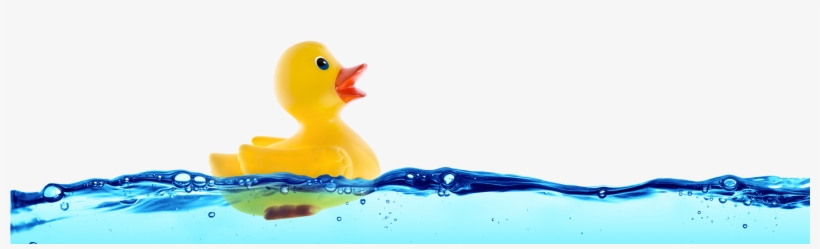 Rubber Duck - Financial Advice That Doesn't Suck:, transparent png download