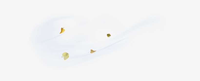 Main Wind - Honeybee, transparent png download