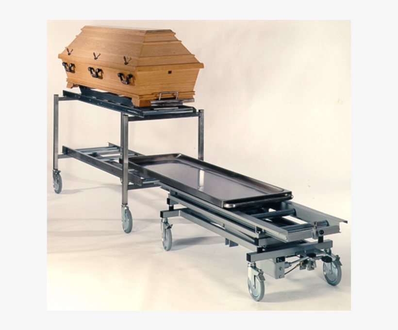 Ufsk International - Plywood, transparent png download