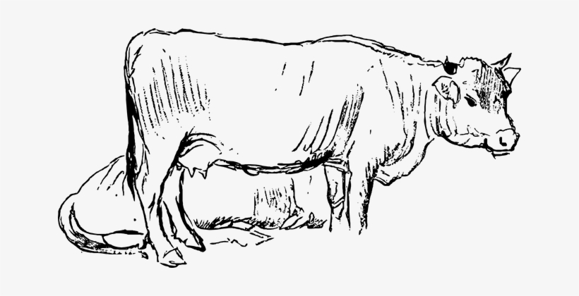 Engraving, Chalk Out, Etching, Art - Etching, transparent png download