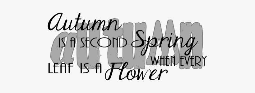 Here Is An Autumn Word Art That I Made I Hope You Can - Amber Berninger - Love You More, transparent png download