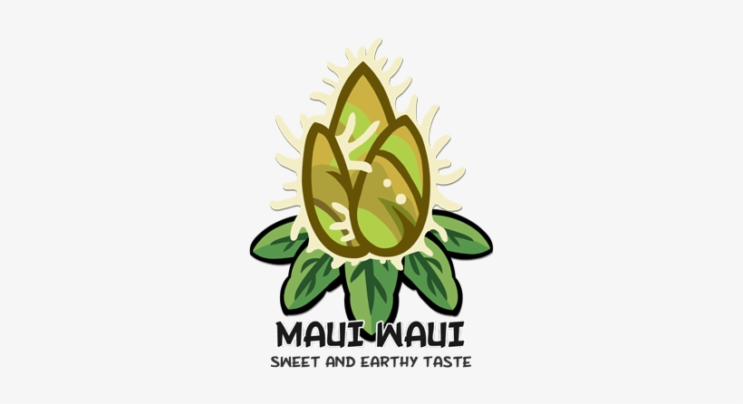 Small Pot Sprout Pot Plant Pot - Illustration, transparent png download