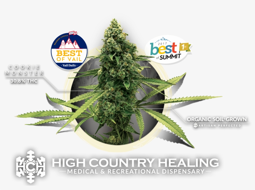 Social Link - Spruce, transparent png download