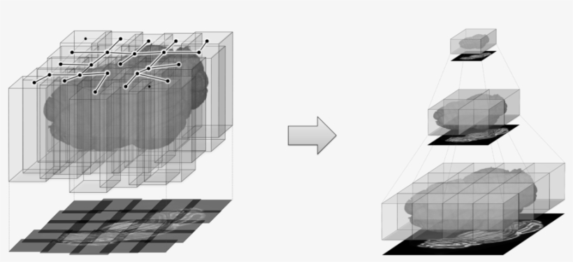 Terastitcher Is A Free Tool That Enables The Stitching - Diagram, transparent png download