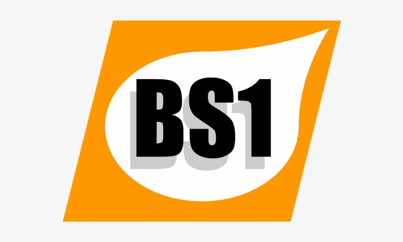Bso Shirt Logo - Graphic Design, transparent png download
