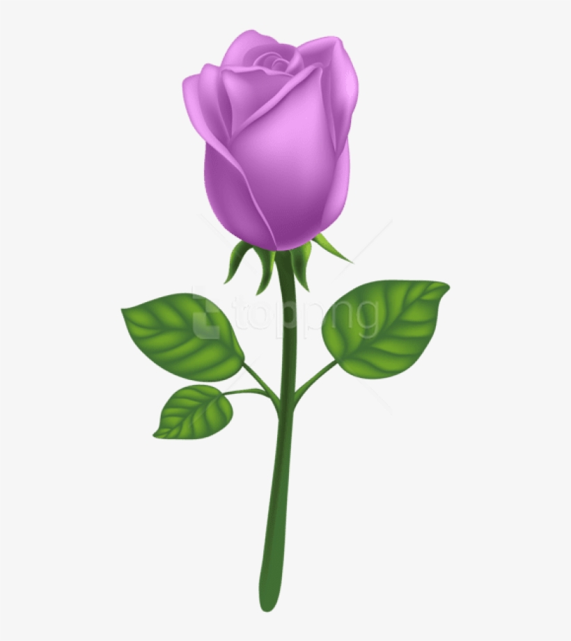 Free Png Download Purple Deco Rose Png Images Background - Purple Long Stem Rose Png, transparent png download