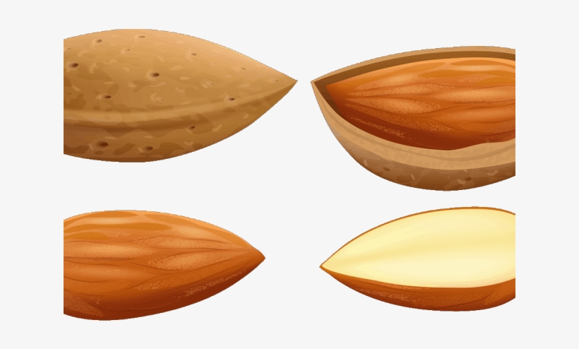 Almond Clipart Single - Chocolate, transparent png download