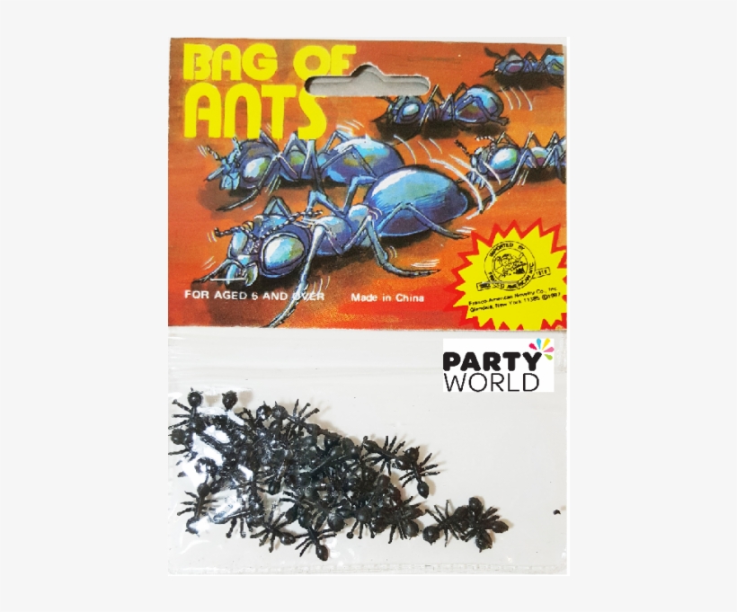 2591918 - >> - Party World, transparent png download