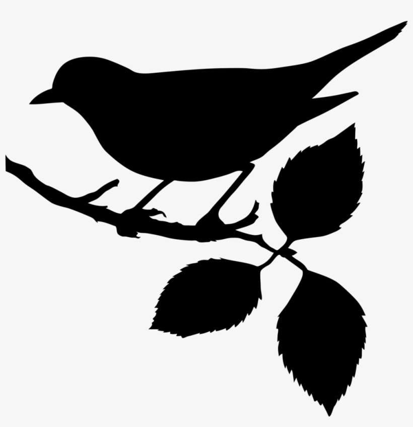 Kingfisher - Bird On A Branch Silhouette, transparent png download