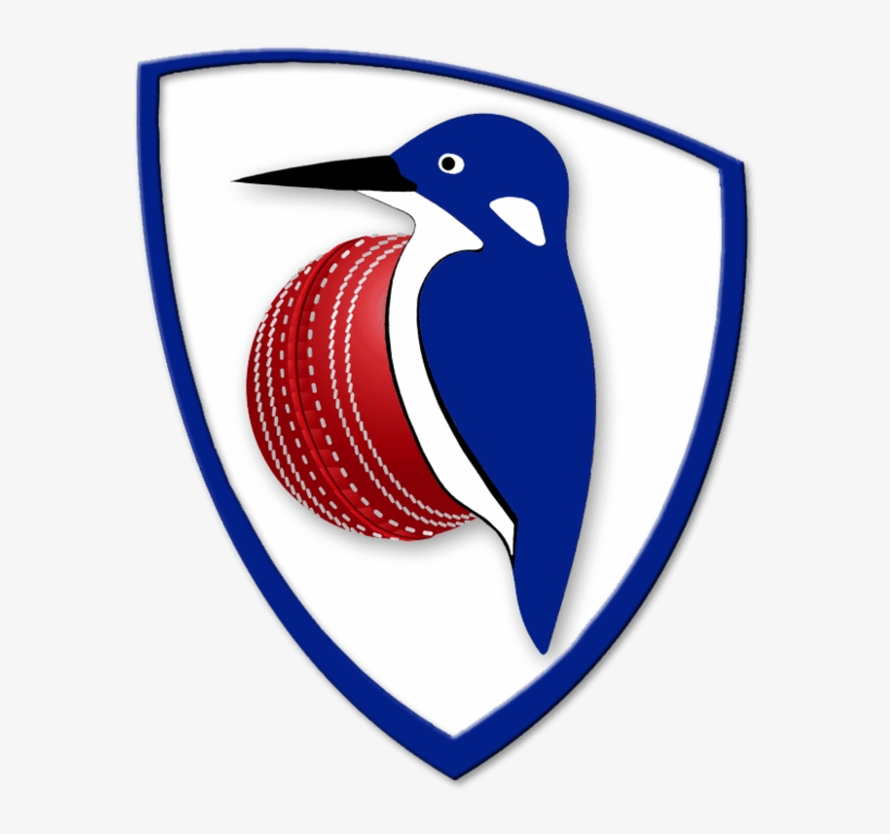 Cricket Clipart Cricket Coach - Emblem, transparent png download