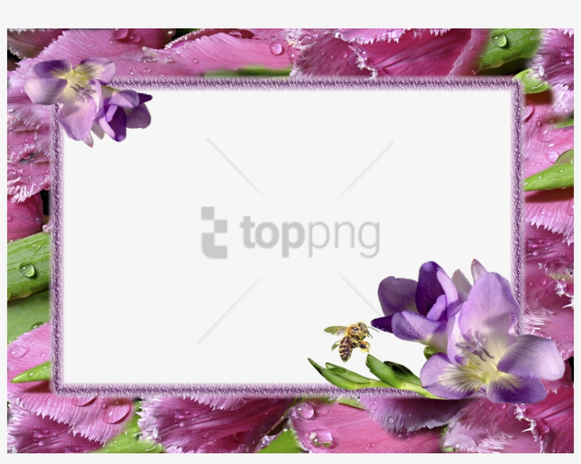 Free Png Flower Photo Frames Hd Png Image With Transparent - Frame Png, transparent png download