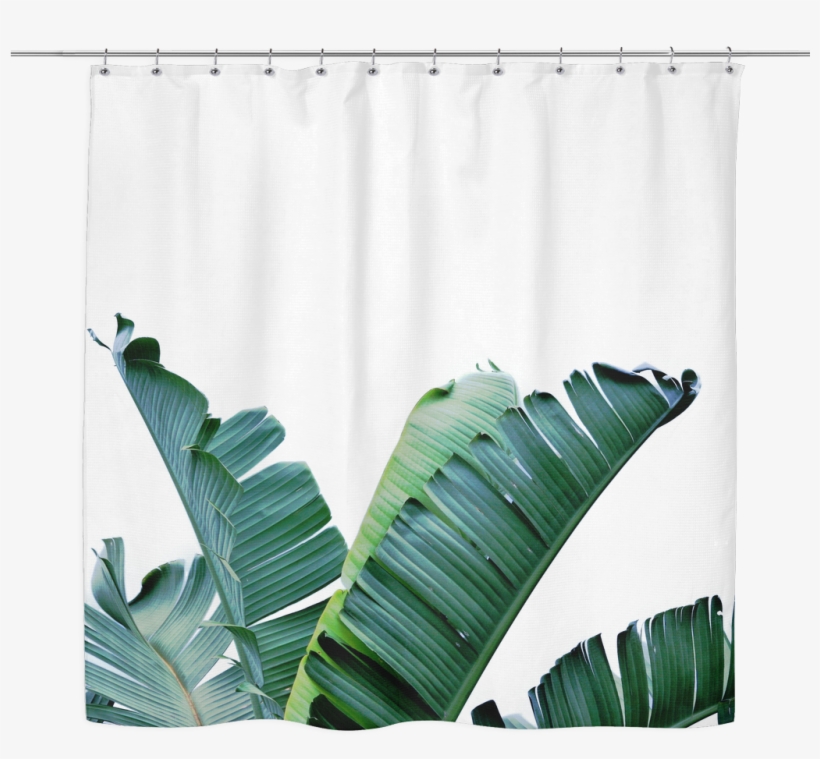 Banana Leaf Shower Curtain - Banana Leaf Art, transparent png download
