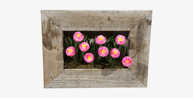 Silk English Daisy Frame • $24 - Common Peony, transparent png download