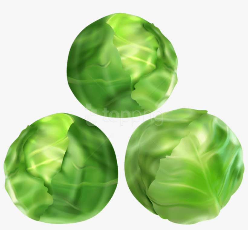 Download Brussels Sprouts Png Images Background - Brussels Sprout Clipart Png, transparent png download