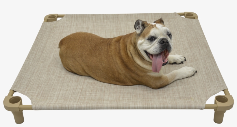 40×40 Premium Tweed Cot - Olde English Bulldogge, transparent png download