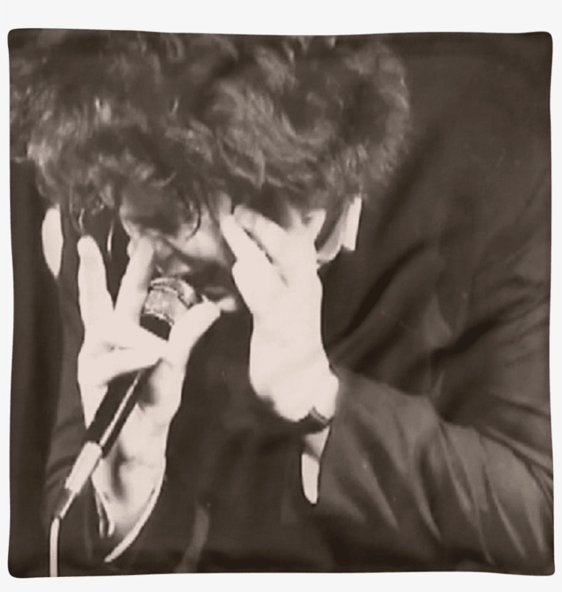 "live And Screaming" Wet Taxis Cushion 18" Home Decor - Wet Taxis, transparent png download