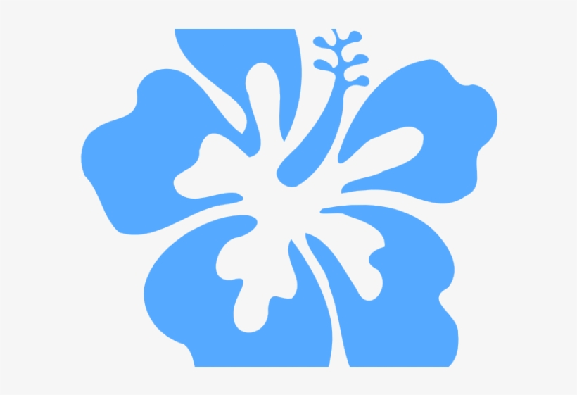 640 X 480 16 - Hibiscus Clip Art, transparent png download