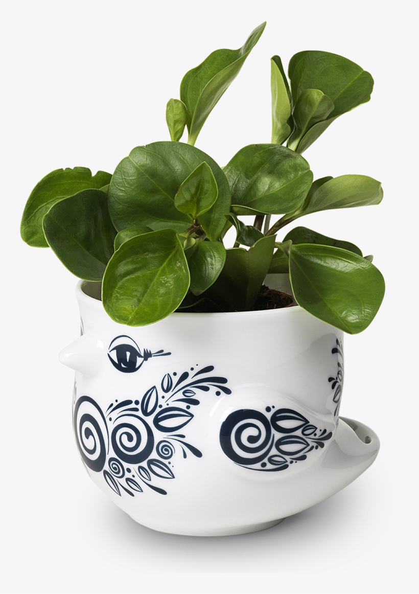 Birds Flowerpot Blue Oe14 Cm Birds - Bjørn Wiinblad Birds Potteskjuler, transparent png download
