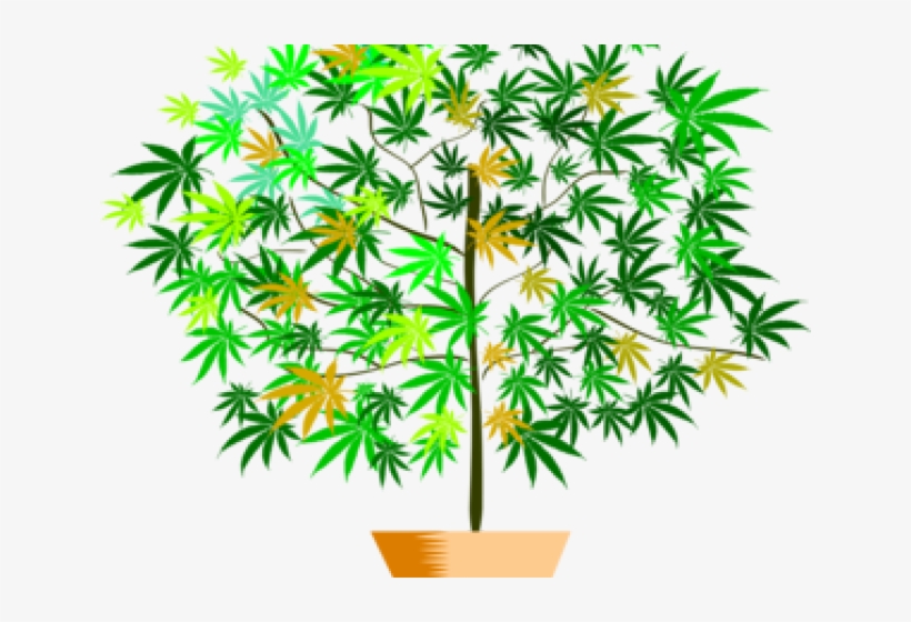 Pot Plant Clipart Flower Pot, transparent png download