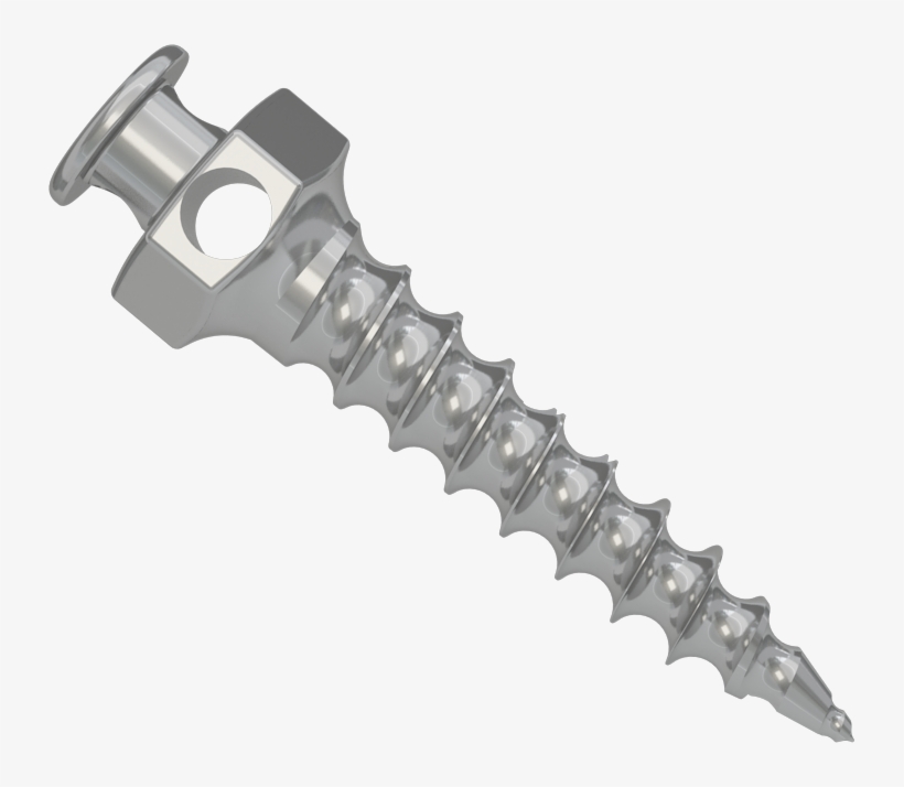 Mini Screw - 3s - Serrated Blade, transparent png download