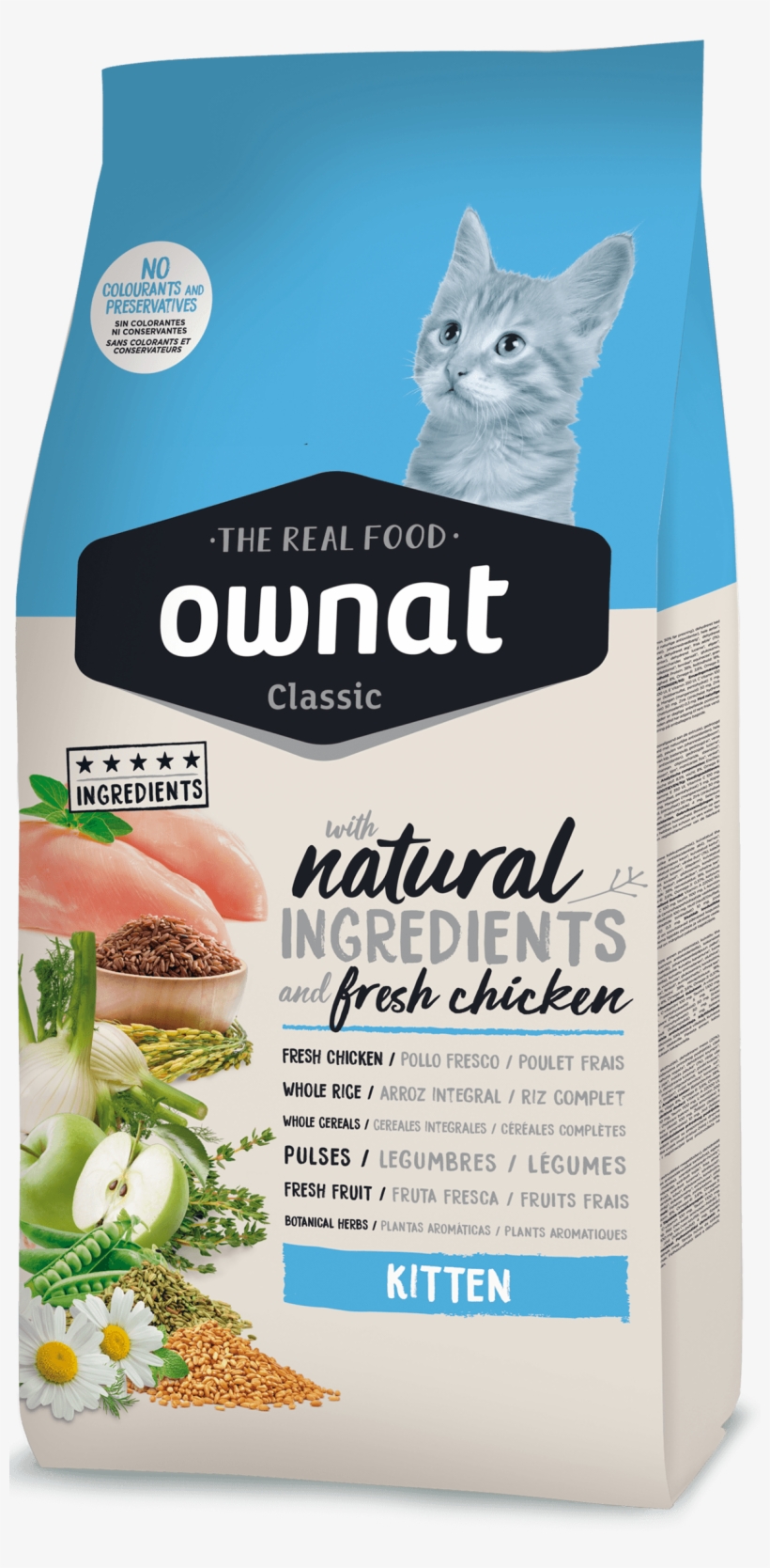 Recommended For Kittens From 1 To 12 Months' Old, It - Ownat Chat, transparent png download