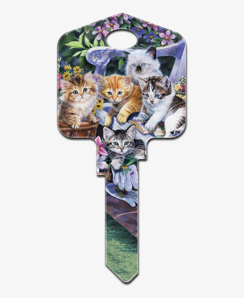 Ac1- Kittens - Squitten, transparent png download