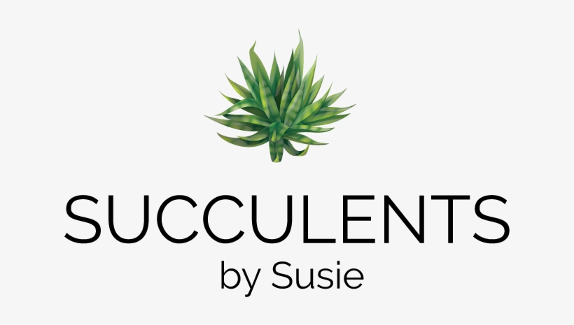 Agave, transparent png download