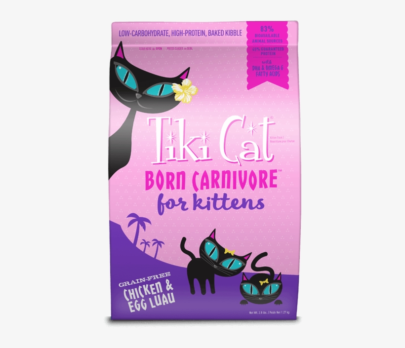 Previous - Next - Flyer, transparent png download