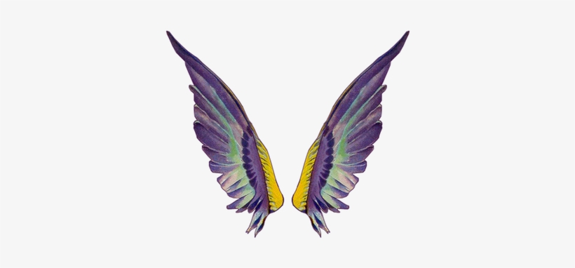 Clip Art Related Wings Transprent Png Free - Fairy Wing Gif Transparent, transparent png download