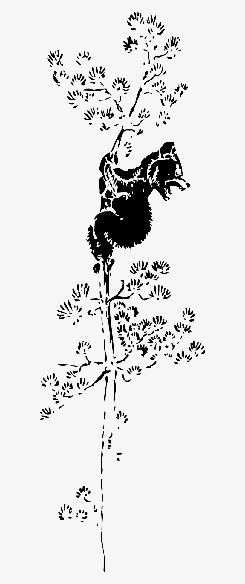 Bear Cub Up A Tree Black White Line Art 555px - Bear, transparent png download