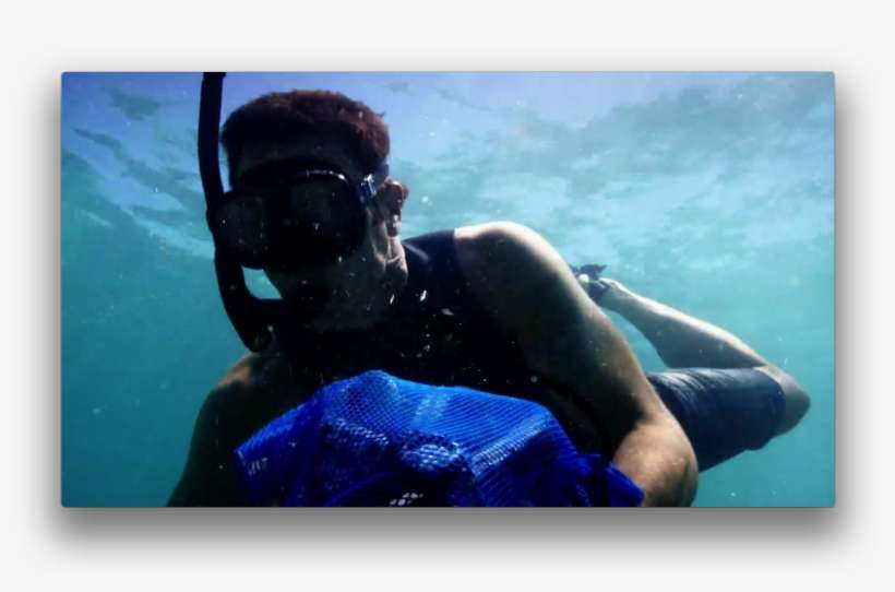 Hawaii Five-0verified Account - Underwater, transparent png download