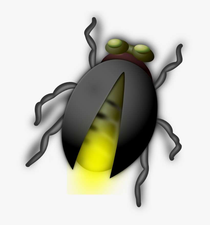 800 X 800 2 - Bug Clip Art, transparent png download