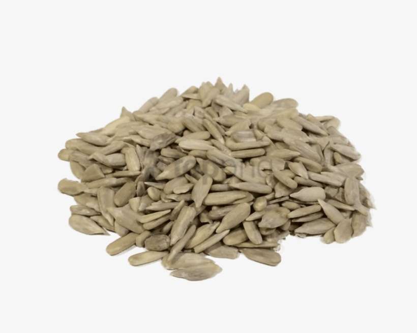 Free Png Download Sunflower Seed Png Png Images Background - Sunflower Seeds Png, transparent png download