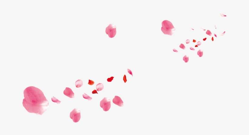 Pink Flower Rose Petals Petal Beach - Illustration, transparent png download