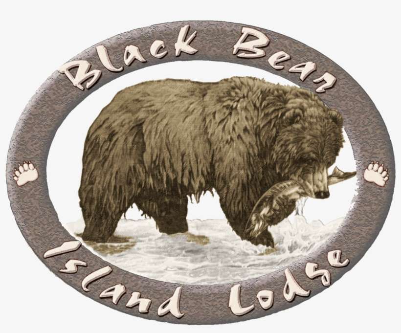 Black Bear Png - Grizzly Bear, transparent png download