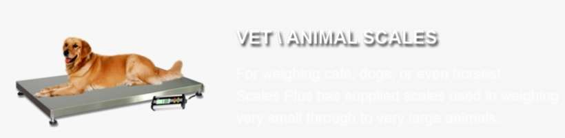 Slide2 - Sunlounger, transparent png download