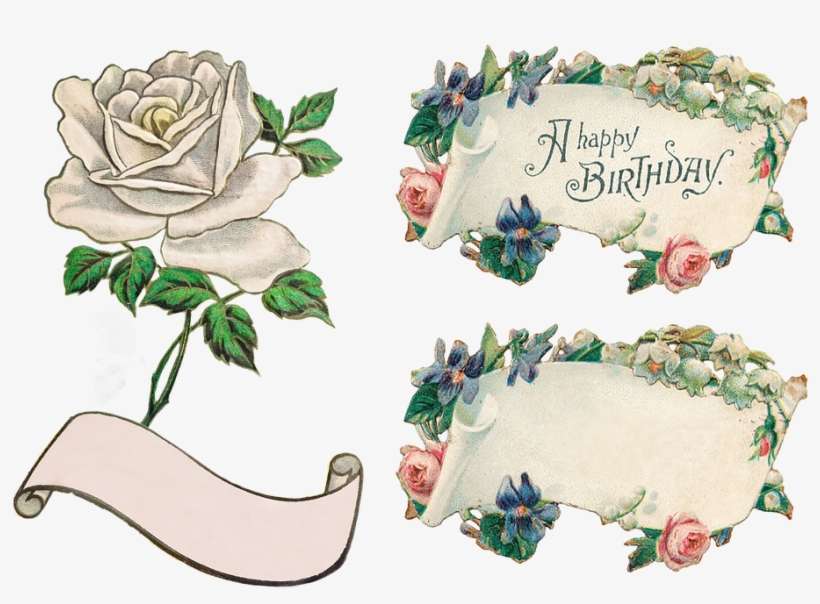Banner Flowers Rose Clip Art Transparent Isolated - Birthday, transparent png download