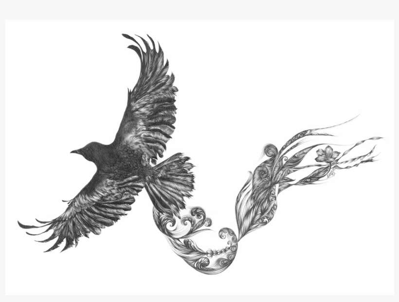 Eagle Transparent Trippy - Eagle, transparent png download