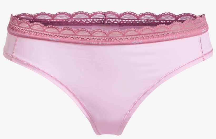 Panties, transparent png download