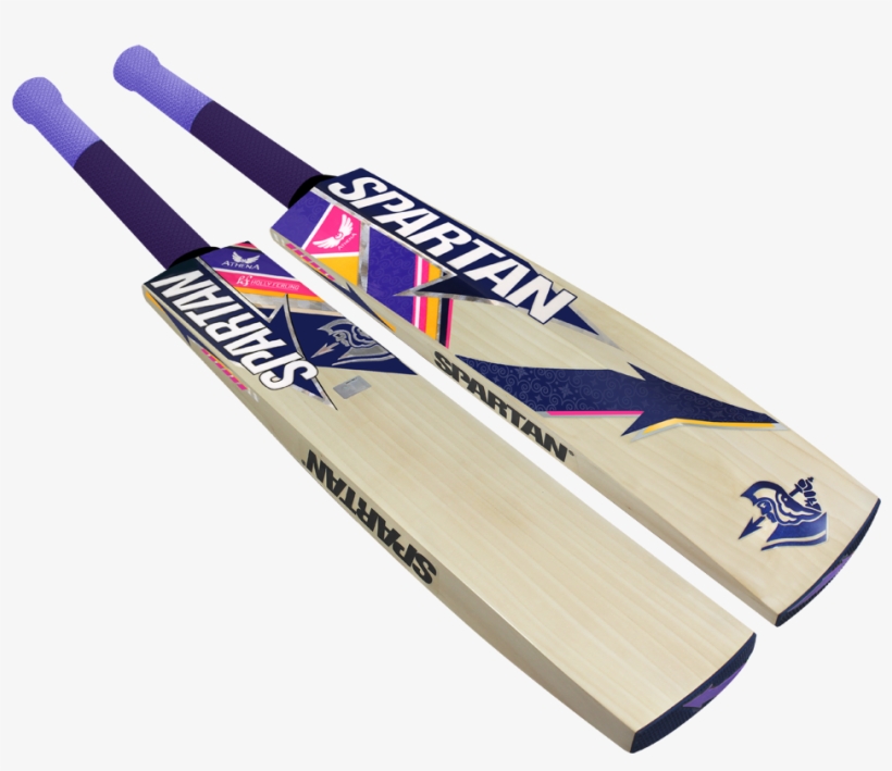 Holly Ferling Athena Women's Bat - Cricket, transparent png download