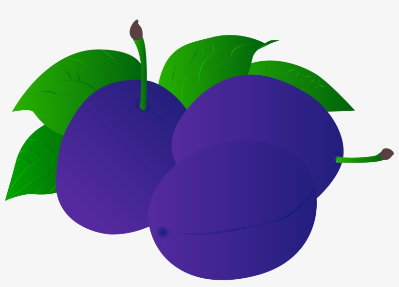 Fruit Illustration Food Png And Vector Image - Seedless Fruit, transparent png download