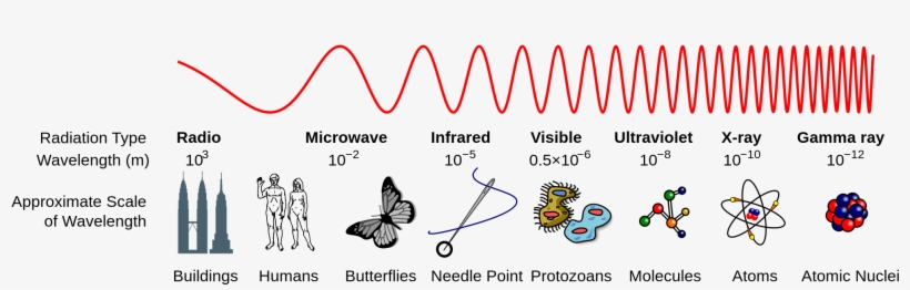 As Indicated By The Image Above, Radio Waves Have Only - Electromagnetic Spectrum X Rays, transparent png download