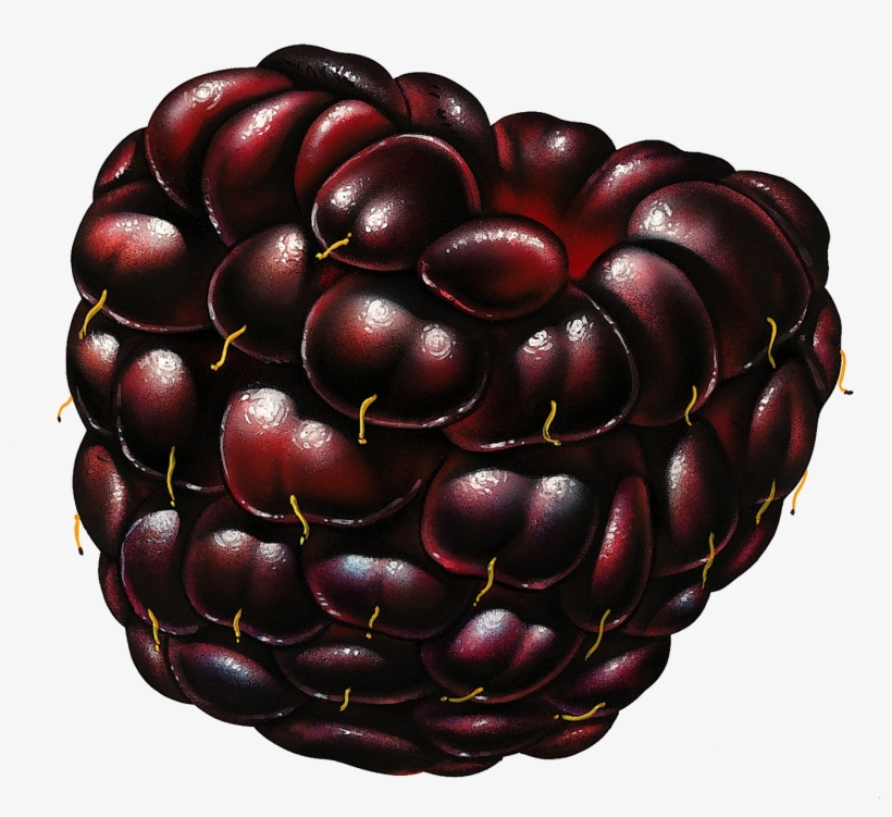 Blackberry Icon Png - Imagens De Frutos, transparent png download