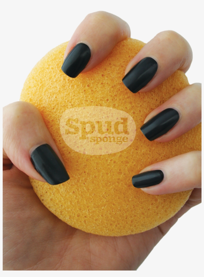 Turmeric Face Sponge - Nail Polish, transparent png download